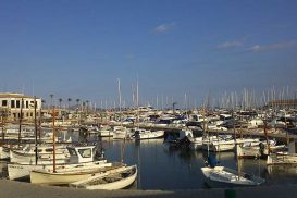 Beach Boat 2020 Begibt Sich In Neue Gewasser Bautzener Bote