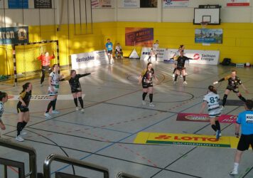 Handball-Roedertalbienen-Spiel-356x250.jpg