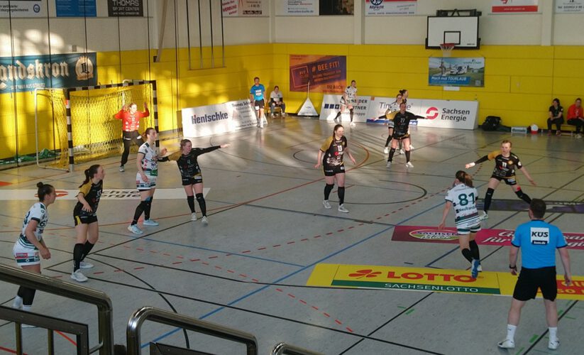 Handball-Roedertalbienen-Spiel-823x500.jpg