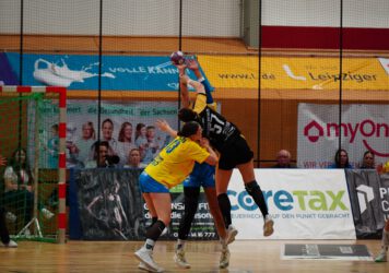 Handball-Roedertalbienen-Sabatnik-356x250.jpg