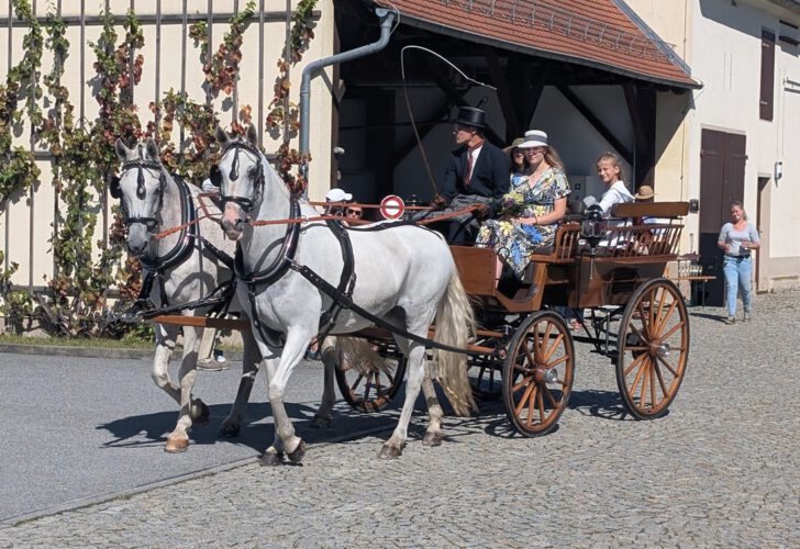 Kutschfahrt-Rackel-Pferde5-728x500.jpg